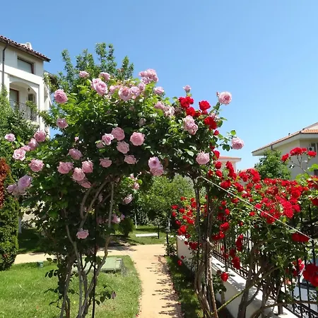 Triumph Village 4* Sveti Vlas